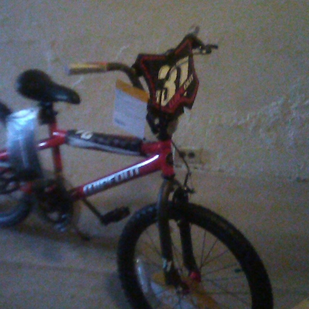 Brand new 20 inch kid's bike